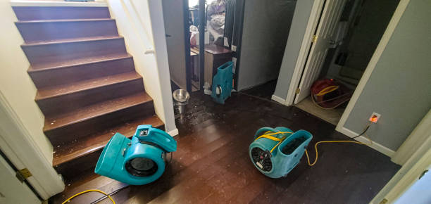 Best Flood damage cleanup  in Terry, MS