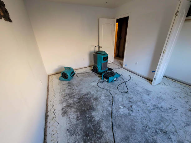 Best Mold removal after water damage  in Terry, MS