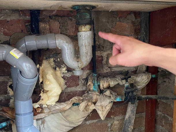 Best Water damage restoration near me  in Terry, MS