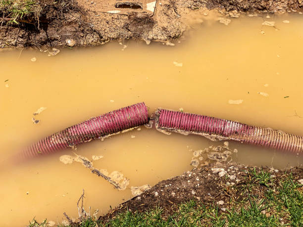Best Water damage restoration cost  in Terry, MS