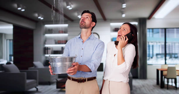 Reliable Terry, MS Water damage restoration Solutions