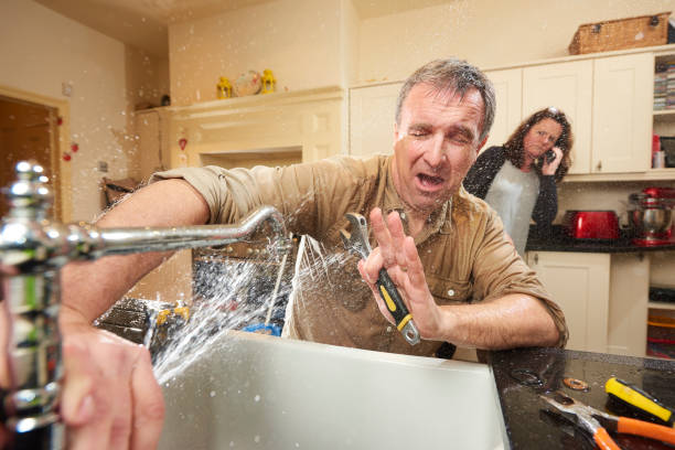 Best Residential water damage restoration  in Terry, MS